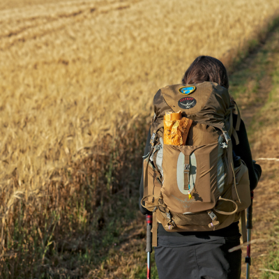 Logroño - León Camino De Santiago Francés