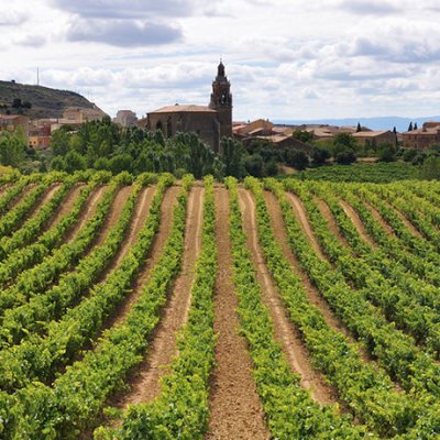 Logroño - Burgos Camino De Santiago Francés