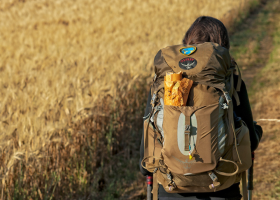 Logroño - León Camino De Santiago Francés