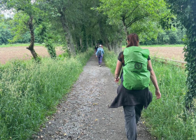 Sarria - Santiago Camino De Santiago Francés