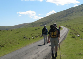 Camino De Santiago Francés (SJPDP - Logroño)