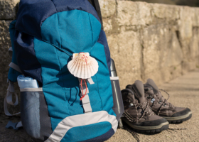 Camino De Santiago Francés (SJPDP - Santiago)