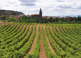 Logroño - Burgos Camino De Santiago Francés