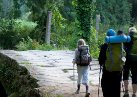 Camino De Santiago Portugués (Tui-Santiago)