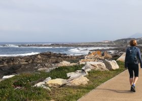 Camino Portugués por la Costa