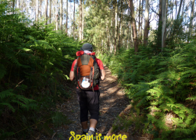 Camino De Santiago Inglés (Ferrol - Santiago)