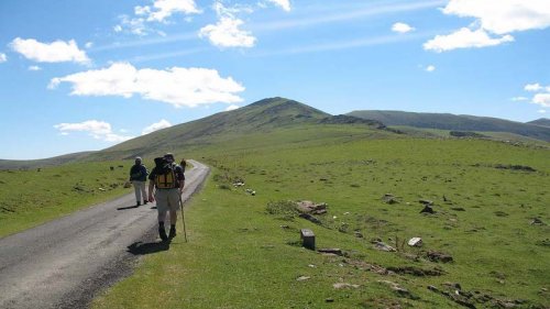 El Camino de Santiago Francés. Respuestas a todas tus preguntas.