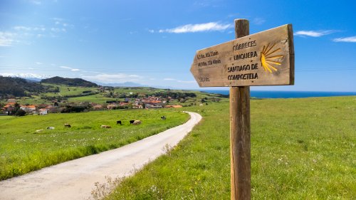 La guía definitiva del Camino - Cómo prepararte
